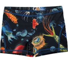 Norton Swimwear